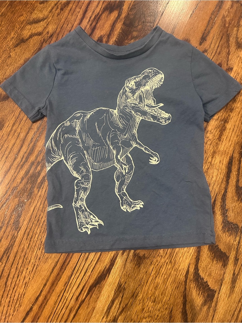 Lily & Dan Kids Navy Blue Dinosaur Graphic Tee XS